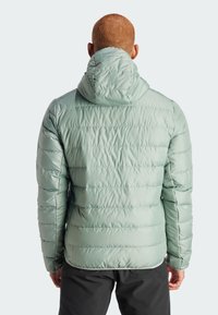 Adidas Terrex TERREX MULTI LIGHT DOWN HOODED - Chaqueta de plumas - silver green