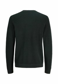 Pull en maille vert foncé à manches longues avec un motif texturé, poignets, ourlet et col rond côtelés, vu de dos.