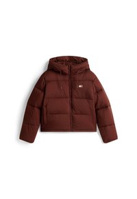 HOODED PUFFER JACKET - Χειμωνιάτικο μπουφάν - rich brown