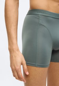 Ανδρικά μποξεράκια σε απαλό πράσινο χρώμα. Κατασκευασμένα από λείο υλικό με μαλακή ζώνη μέσης που διαθέτει ανάγλυφο λογότυπο. Εφαρμοστό σχέδιο με επίπεδες ραφές.