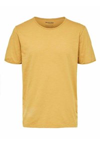 Non selezionato, wood thrush