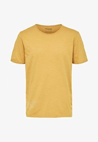 Non selezionato, wood thrush