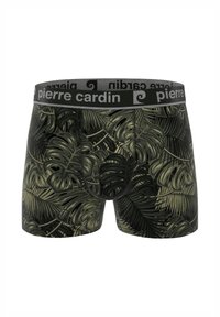 Boxers pour hommes en noir avec imprimé de feuilles tropicales vertes, dotés d'une ceinture grise avec le logo "pierre cardin".