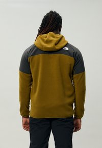 The North Face GLACIER HEAVYWEIGHT FULL ZIP  - Fliisjakk - moss green/asphalt grey