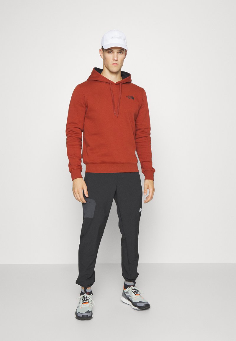 the north face seasonal drew peak hoodie in black