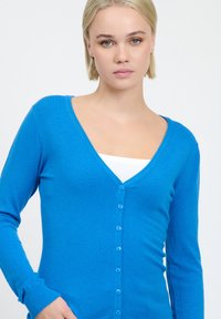 Cardigan blu con scollatura a V profonda, maniche lunghe e sei bottoni davanti. Tessuto liscio, design aderente.