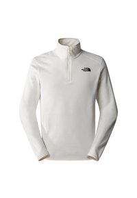 GLACIER 1/4 ZIP - Fleece jumper - white dune-npf