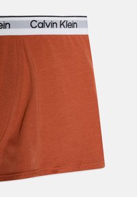 Muške bokserice u boji hrđe, napravljene od pamuka, s kontrastnim crnim i sivim elastičnim pojasom s oznakom Calvin Klein. Glatka tekstura.