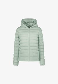 Niet geselecteerd, aop sea green