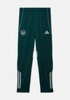 ARSENAL FC TIRO COMPETITION PANTS KIDS UNISEX - Pantalon de survêtement - aurora ivy
