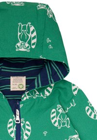 Grüne Zip-Hoodie mit Drucken von Waschbär und Pilzen, gefütterte Kapuze mit marineblauen Streifen, Baumwollmaterial und Reißverschluss vorne.