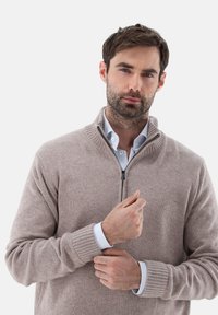 Beige Strickpullover mit hohem Reißverschlusskragen. Rippstrick an den Bündchen und dem Saum. Über einem hellblauen Oberhemd mit weißen Streifen getragen.