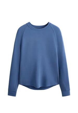 Blue sweatshirt with a round neckline, long raglan sleeves, and a relaxed fit. Smooth texture, curved hem, and subtle side panel detailing.