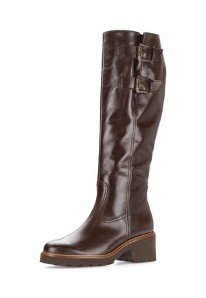 ELEGANTER - Laarzen - kastanie ef micro