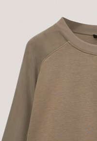 Felpa marrone con texture liscia, caratterizzata da maniche raglan di colore contrastante. Collo rotondo e dettagli di cucitura subtle.