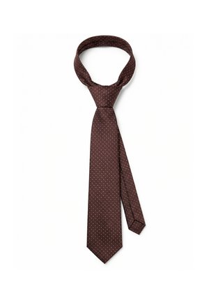 Mørkebrunt silkeslips med små hvide prikker, bundet i en Windsor-knude, vist mod en hvid baggrund.