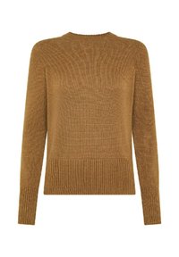 Maglione marrone lavorato a maglia con collo tondo, maniche lunghe, orlo a coste e superficie texture. Il tessuto ha un aspetto caldo e morbido.