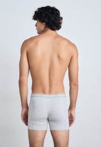 Graue Boxer-Shorts mit einem weichen elastischen Bund, der das Logo "BJÖRN BORG" trägt. Der Stoff wirkt glatt und enganliegend und bietet eine moderne Passform.