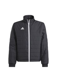 adidas Performance - ENTRADA  - Téli dzseki - schwarz Miniatűr kép 1