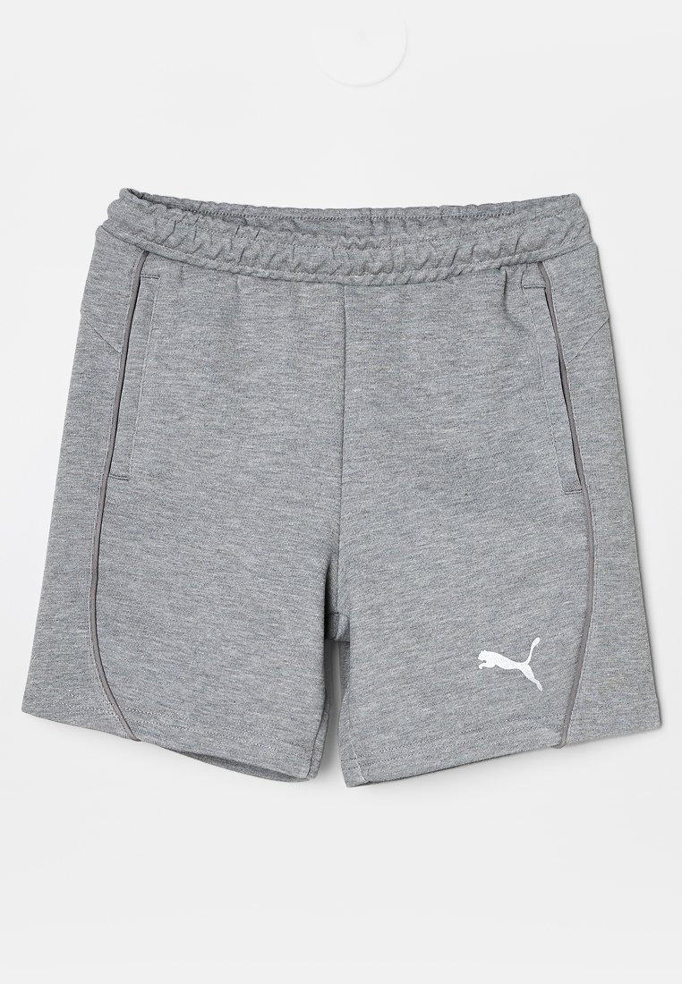 Puma Shorts grijs