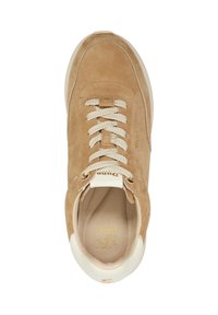 Suede beige sneaker with cream accents, round toe, flat laces, gold eyelets, and embossed logo on the tongue. Textured insole.