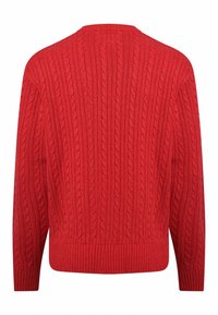 Pull rouge en maille torsadée avec manches longues, col rond, poignets et ourlet côtelés. Motif texturé couvrant tout le dos.