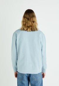 Jasnoniebieska bluza, okrągły dekolt, długie rękawy, materiał bawełniany, ściągacze przy rękawach i na dole, noszona z niebieskimi dżinsami, jednolity widok z tyłu.