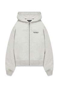 Gray zip-up hoodie made of soft fabric, featuring a hood, two front pockets, and "RETERNITY" printed in black on the left chest area.