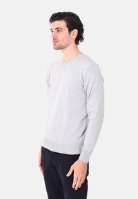 Maglione grigio chiaro a maniche lunghe con colletto rotondo, polsini e orlo a coste, realizzato in un morbido materiale a maglia, indossato con pantaloni scuri.
