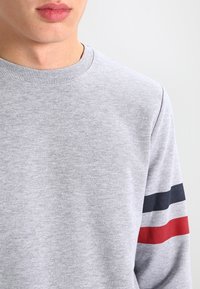 Grauer Pullover mit rundem Halsausschnitt und langen Ärmeln. Mit horizontalen Streifen in Marineblau und Rot am linken Ärmel. Weiche Textur.