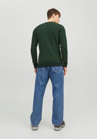 Jack & Jones JJEATLAS CREW NECK - Neule - mountain view