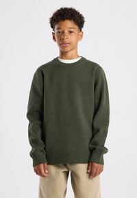 Maglione verde a maglia con collo rotondo, polsini e orlo a coste, indossato sopra una camicia bianca, abbinato a pantaloni beige chiaro. Tessuto liscio.