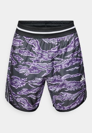 adidas Performance CRAZYLITE  - Korte broeken - aurora plum/black