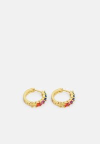 HUGGIE HOOPS - Earrings - multicoloured