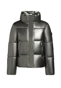 RINJA SHINY - Winter jacket - grau