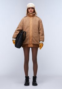 Napapijri BLEONE - Winter jacket - brown tobacco