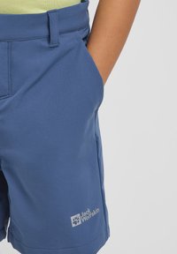 Pantalones cortos azules hechos de un material ligero, con un logo en la parte inferior izquierda, bolsillos laterales y presillas para cinturón en la cintura.