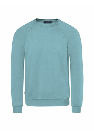 Hellblaues Sweatshirt mit Rundhalsausschnitt, langen Ärmeln, gerippten Bündchen und Saum sowie einem kleinen Markenlogo nahe dem unteren Rand.