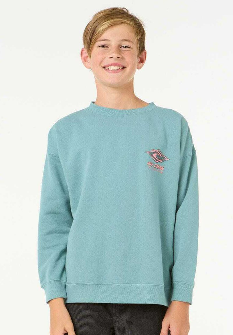 Felpa azzurra realizzata in morbido cotone, con collo tondo e maniche lunghe. Include un piccolo logo ricamato sul petto.