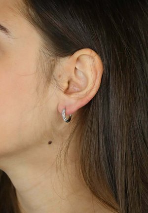 Orecchino a cerchio in metallo con un design elegante, caratterizzato da una fila di piccoli strass trasparenti che ne accentuano la curva. Toni argento, finitura lucida.