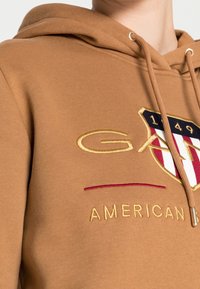 Felpa marrone con cappuccio e cordini, caratterizzata da un logo e testo ricamato in oro e rosso con la scritta "AMERICAN." Tessuto leggermente strutturato.