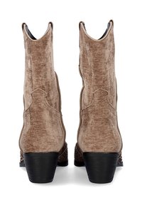 Botas de tobillo de terciopelo marrón con un diseño ligeramente curvado, tacones de goma y acentos texturizados a los lados. Incluyen una apertura con tirador.