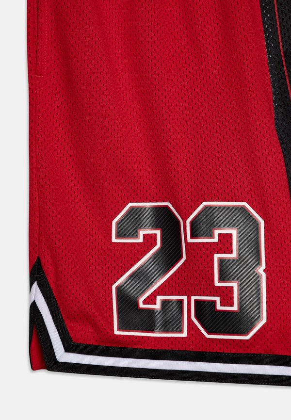 JORDAN PLAY OFF GAME  - Shorts3