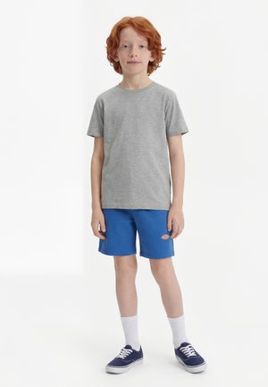 Dickies YOUTH MAPLETON UNISEX - Shorts - delft