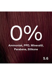 Miniatuurafbeelding 4