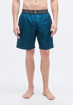SWIM LONG NEW LOGO - Plaukimo šortai - petrol blue/nero/silver-coloured