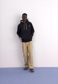 The North Face COORDINATES - Jersey con capucha - tnf black