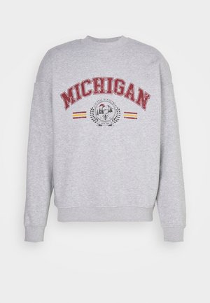 Sweatshirt - light grey