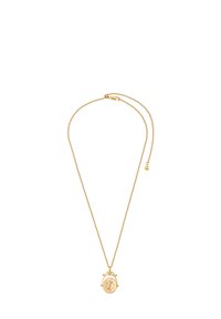 Kullatud kettkaelakee ovaalse ripatsiga. Ripatsil on tekstuuriga pind, väikesed dekoratiivsed elemendid ja peenliist.