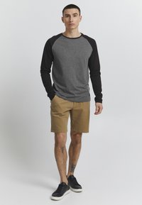 11 Project PRBANE - Langærmet T-shirt - gray melange